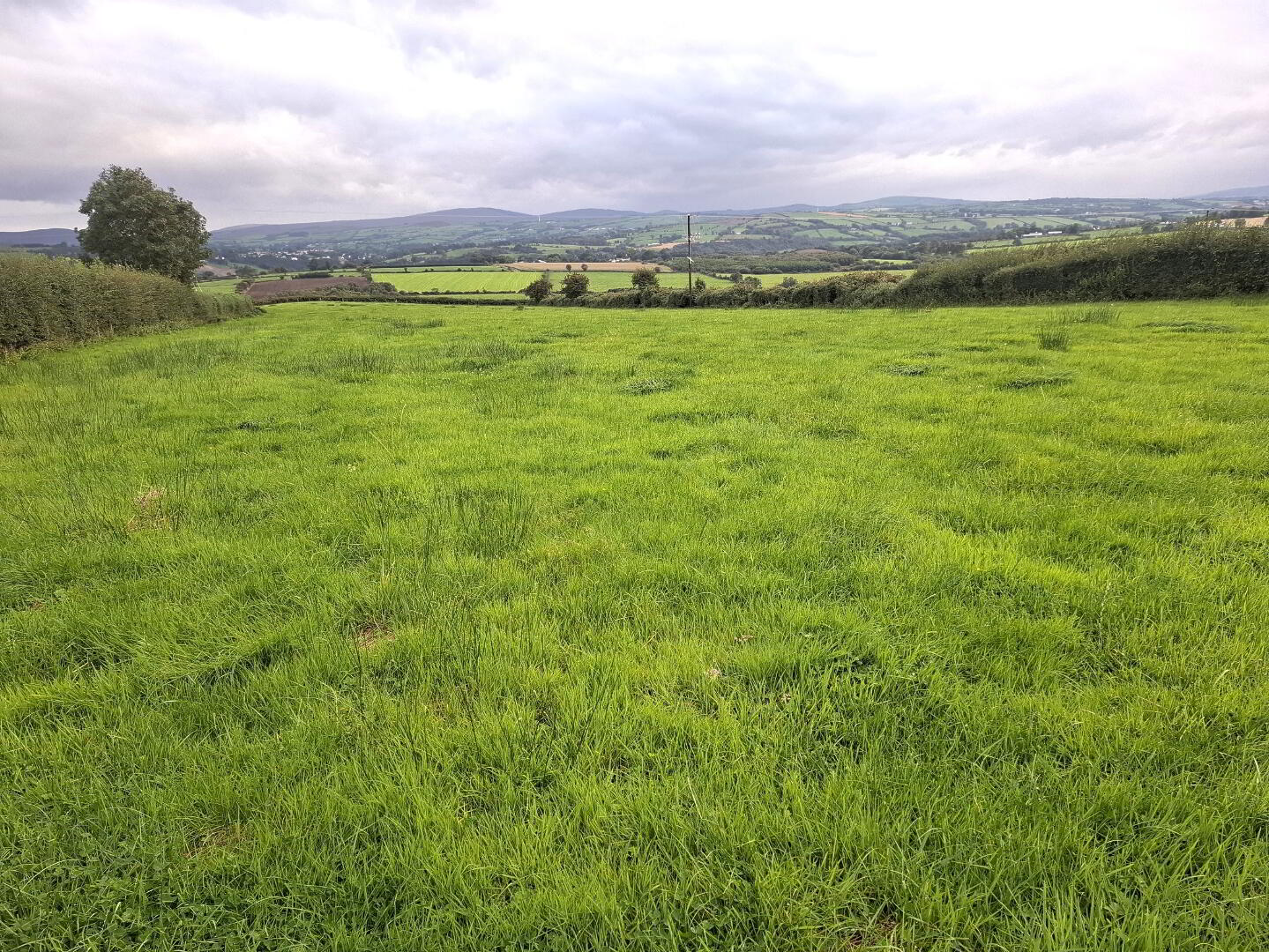 60m SE Of 42 Carrickatane Road 3 of 6