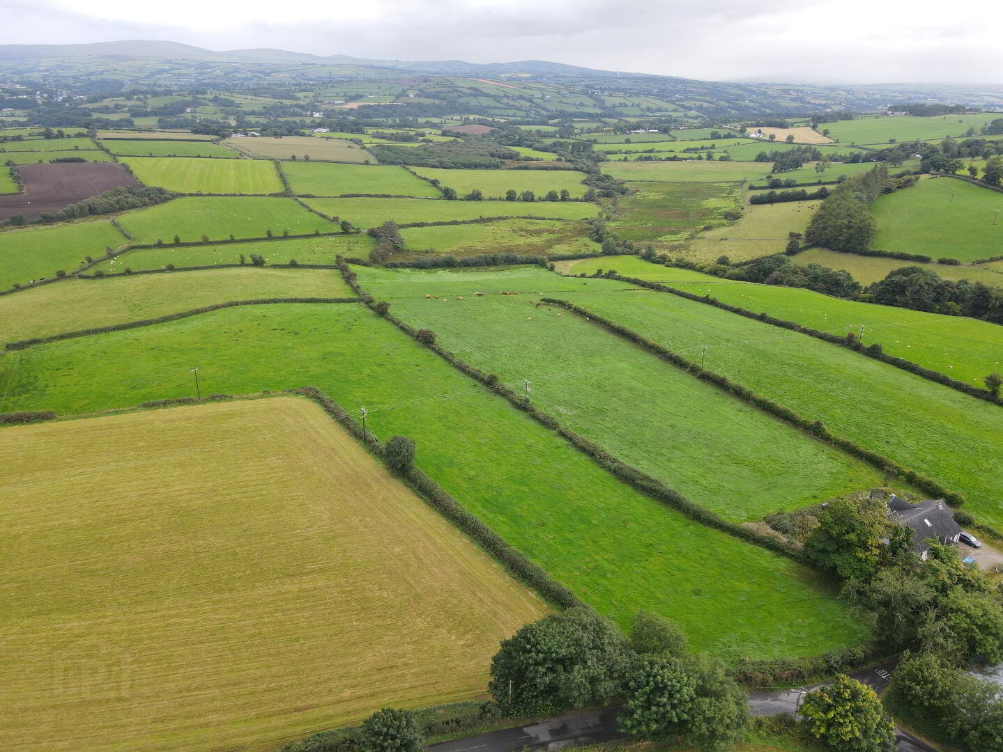 60m SE Of 42 Carrickatane Road 4 of 6