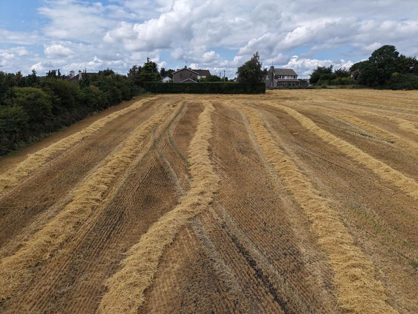 Development Lands At 8 of 10