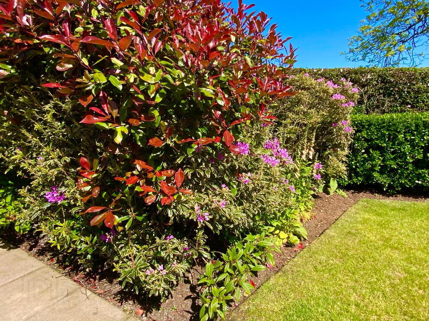 Kilbarchan House, 140 Moycraig Road 59 of 69