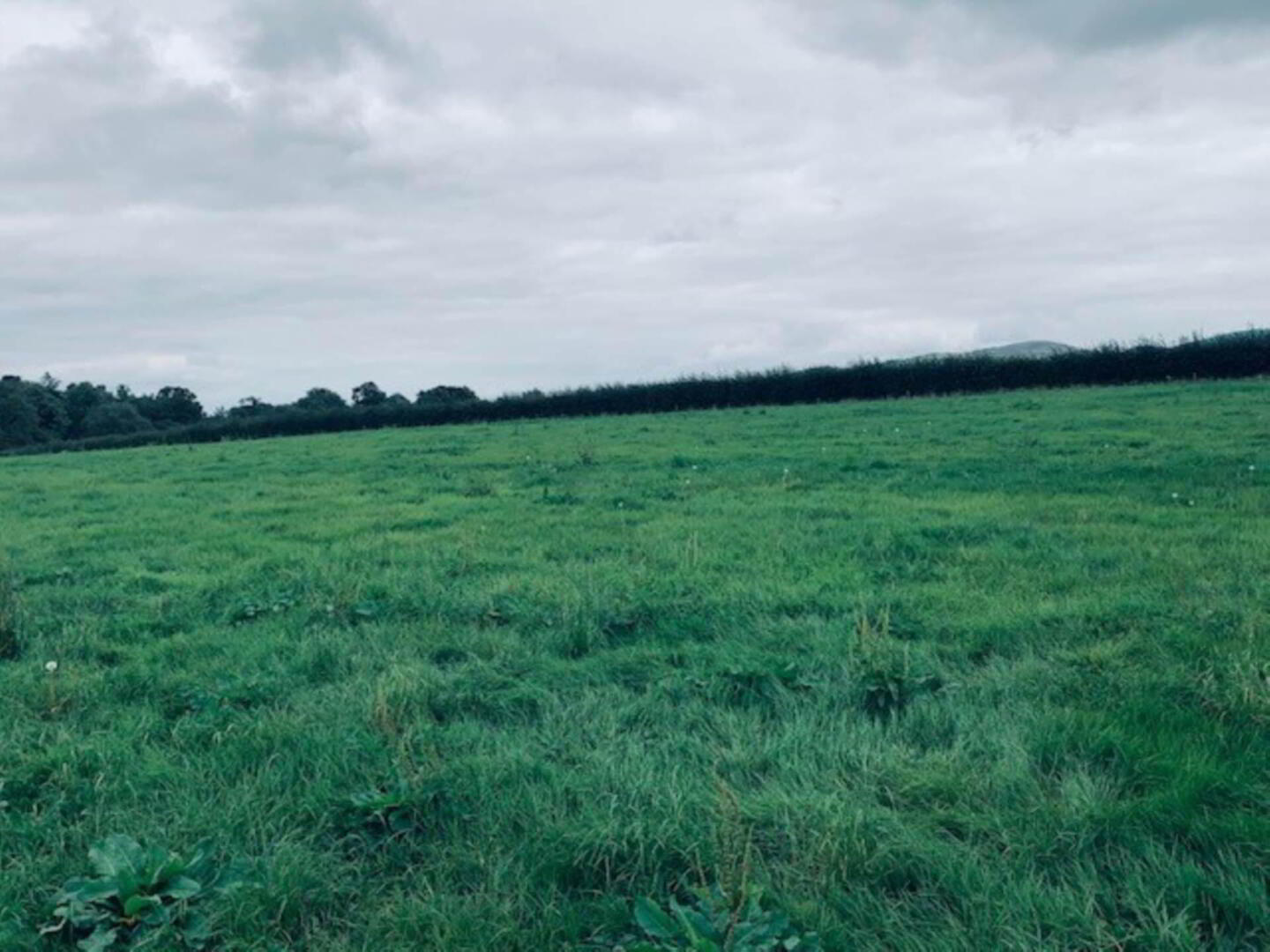 22.23 Ha Mea Or 54.93 Acres ( 60 Acres Per Folio) 5 of 16