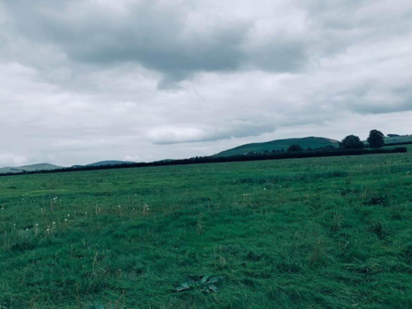 22.23 Ha Mea Or 54.93 Acres ( 60 Acres Per Folio) 7 of 16