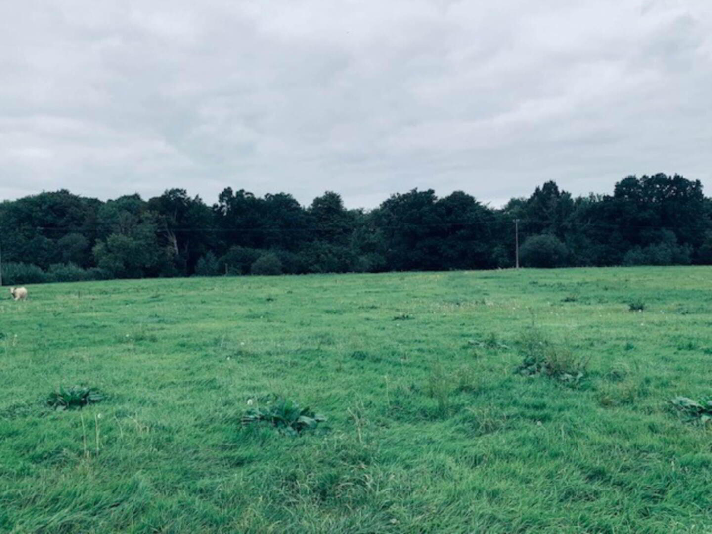 22.23 Ha Mea Or 54.93 Acres ( 60 Acres Per Folio) 6 of 16