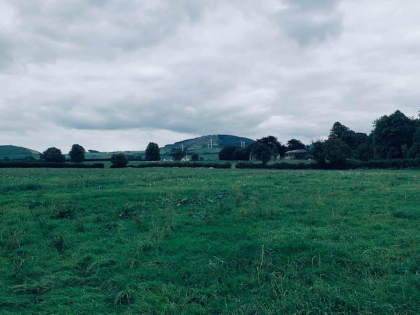 22.23 Ha Mea Or 54.93 Acres ( 60 Acres Per Folio) 8 of 16