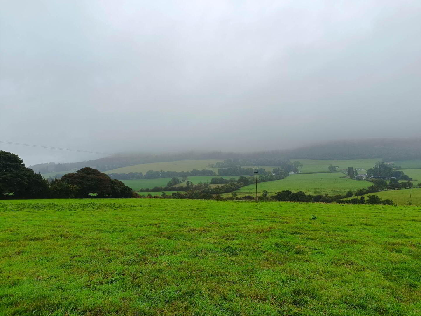 Ballinacourty 4 of 22