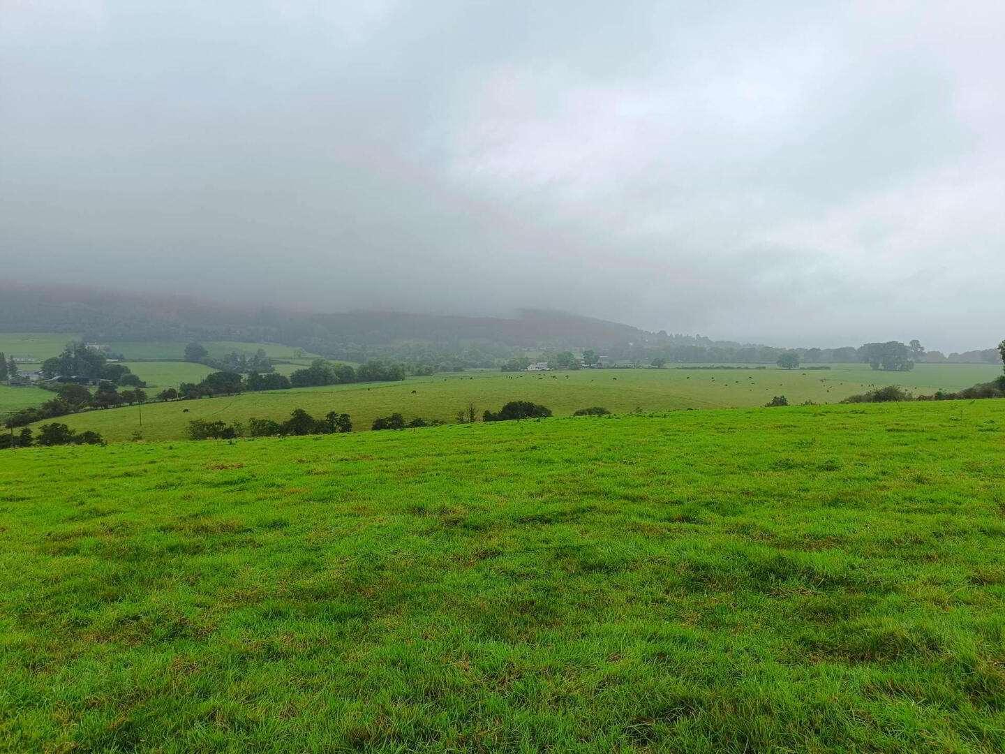 Ballinacourty 5 of 22