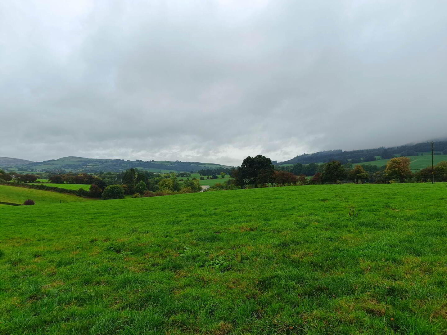 Ballinacourty 15 of 22