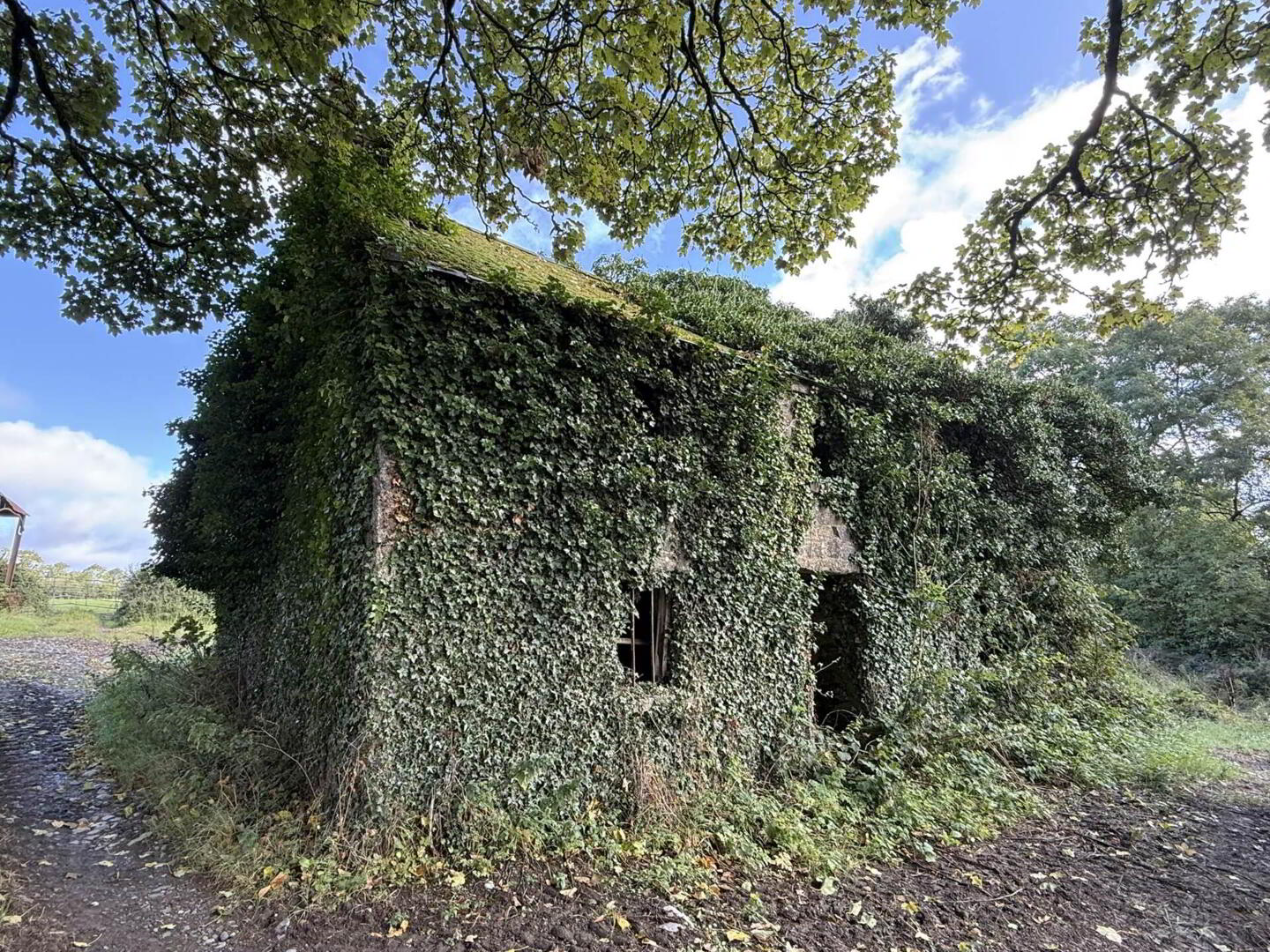Ballyluskey 2 of 18