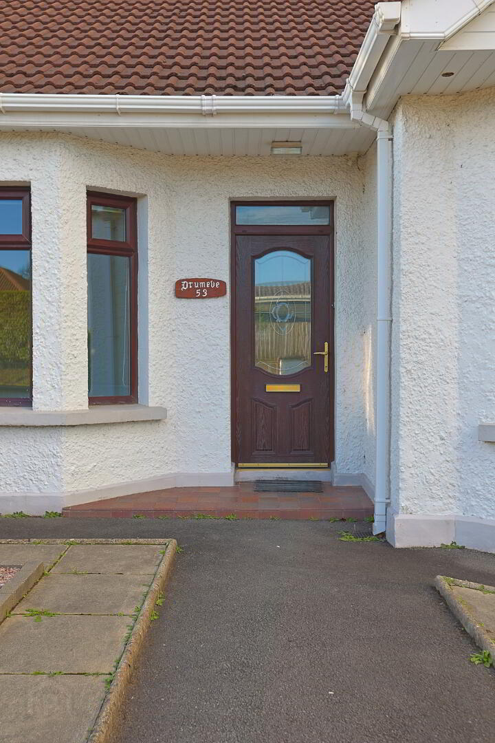 53 Killycomain Road 6 of 66