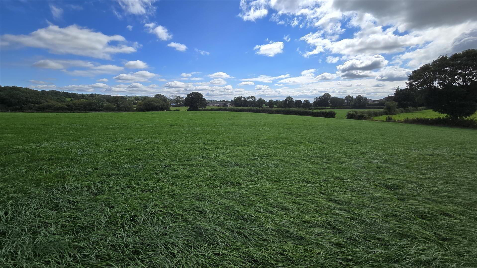 3, Land, Townhill Road 6 of 23