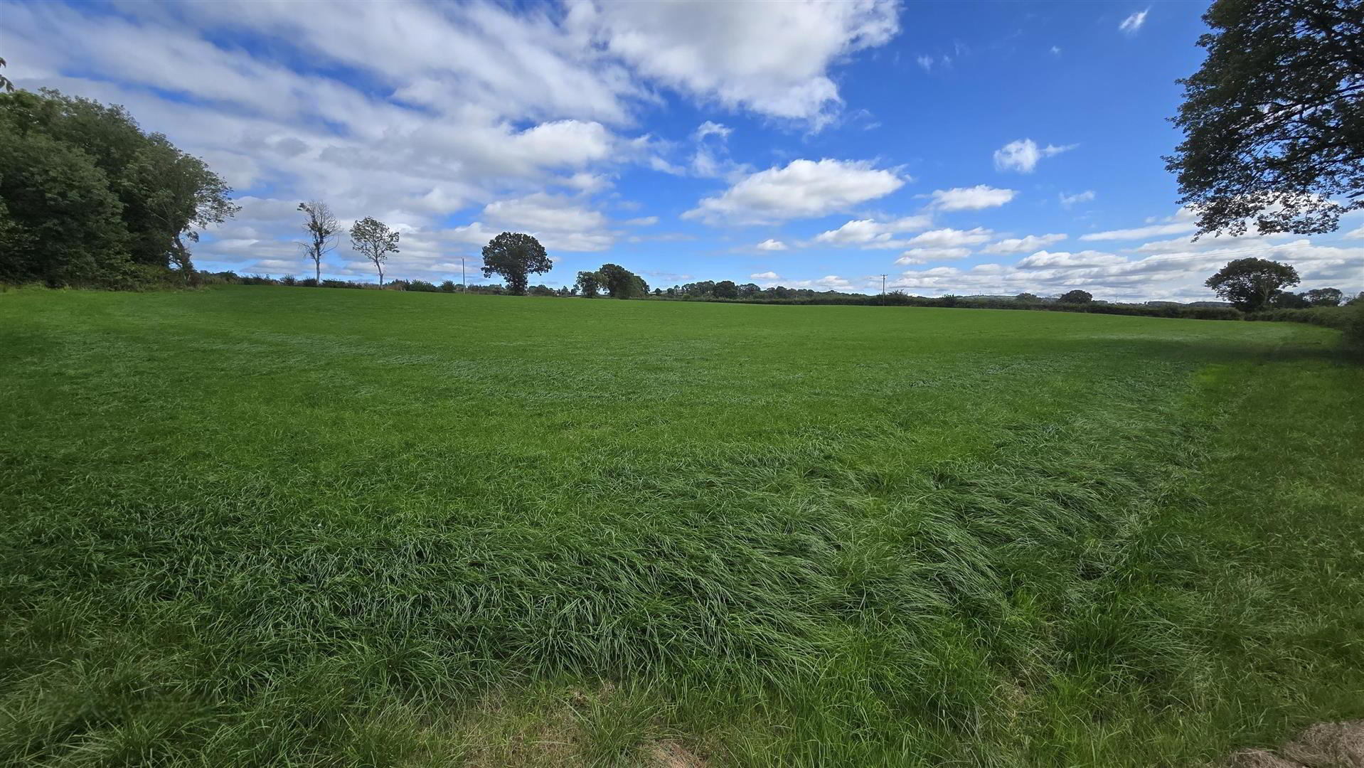 3, Land, Townhill Road 8 of 23
