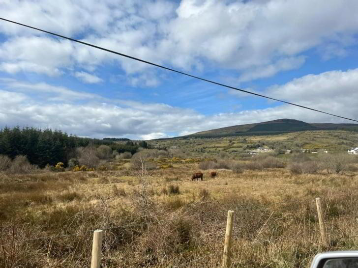 Mullaghgarve 3 of 22