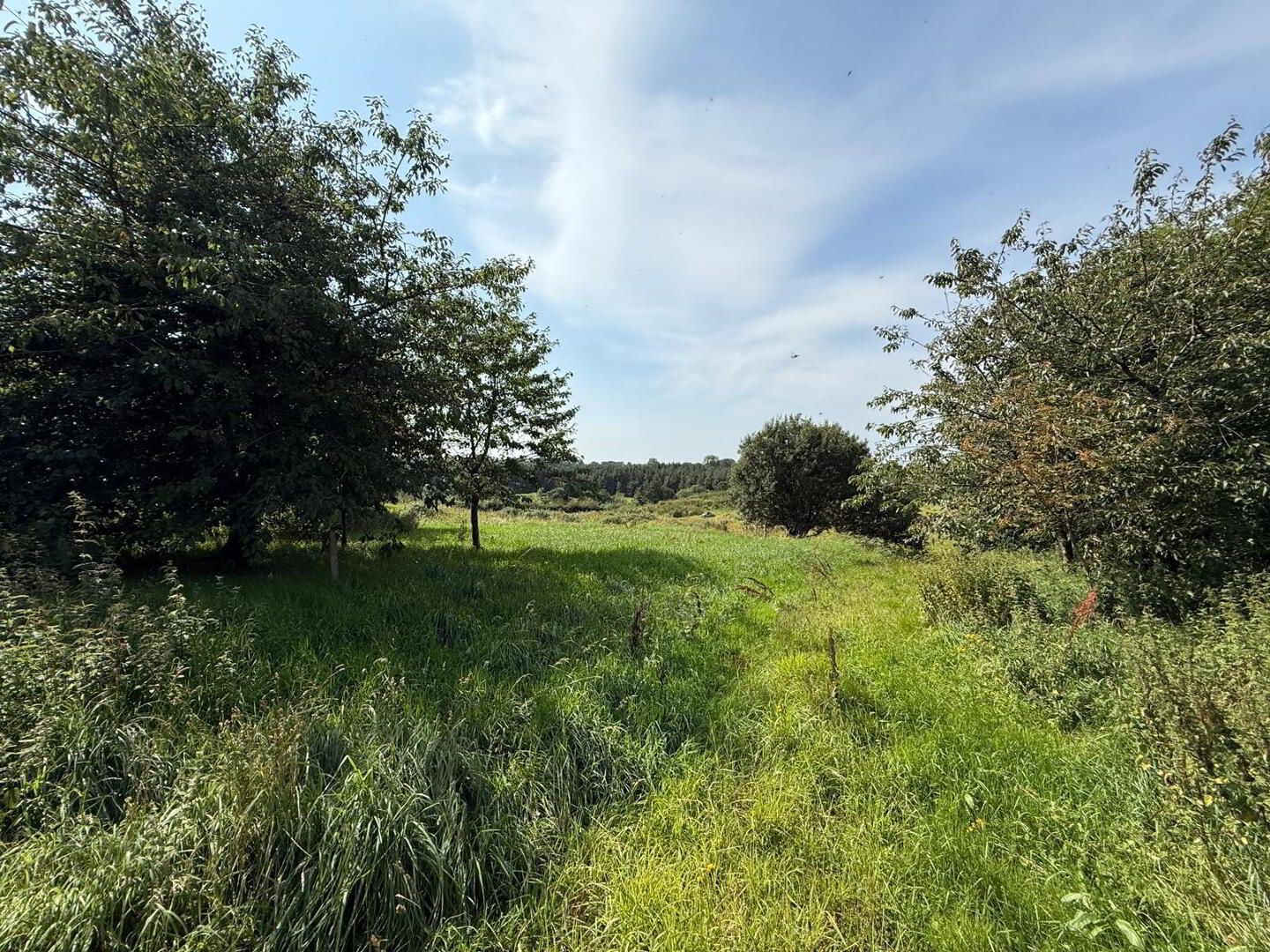 1 Acre Site With Subfloor, Lisnamurrican Ave, Lisnamurrican Rd 8 of 11