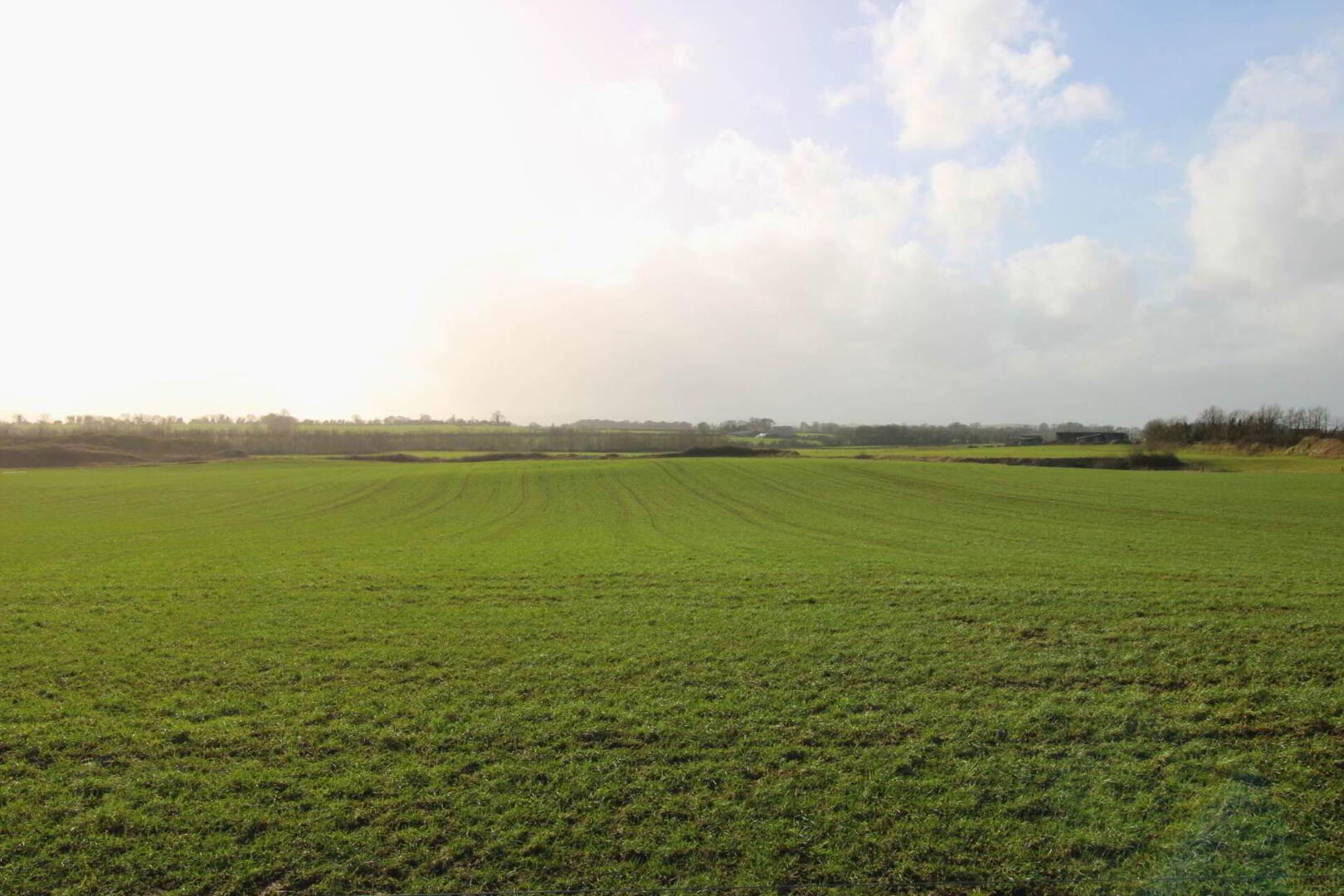 53.62 Acres Coolderry 5 of 6