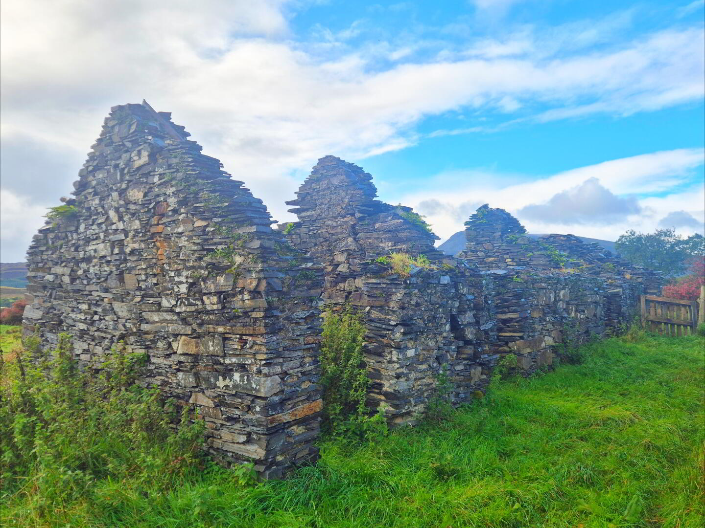 C. 3.49 Acres With Cottages And Site, Roshine 5 of 11