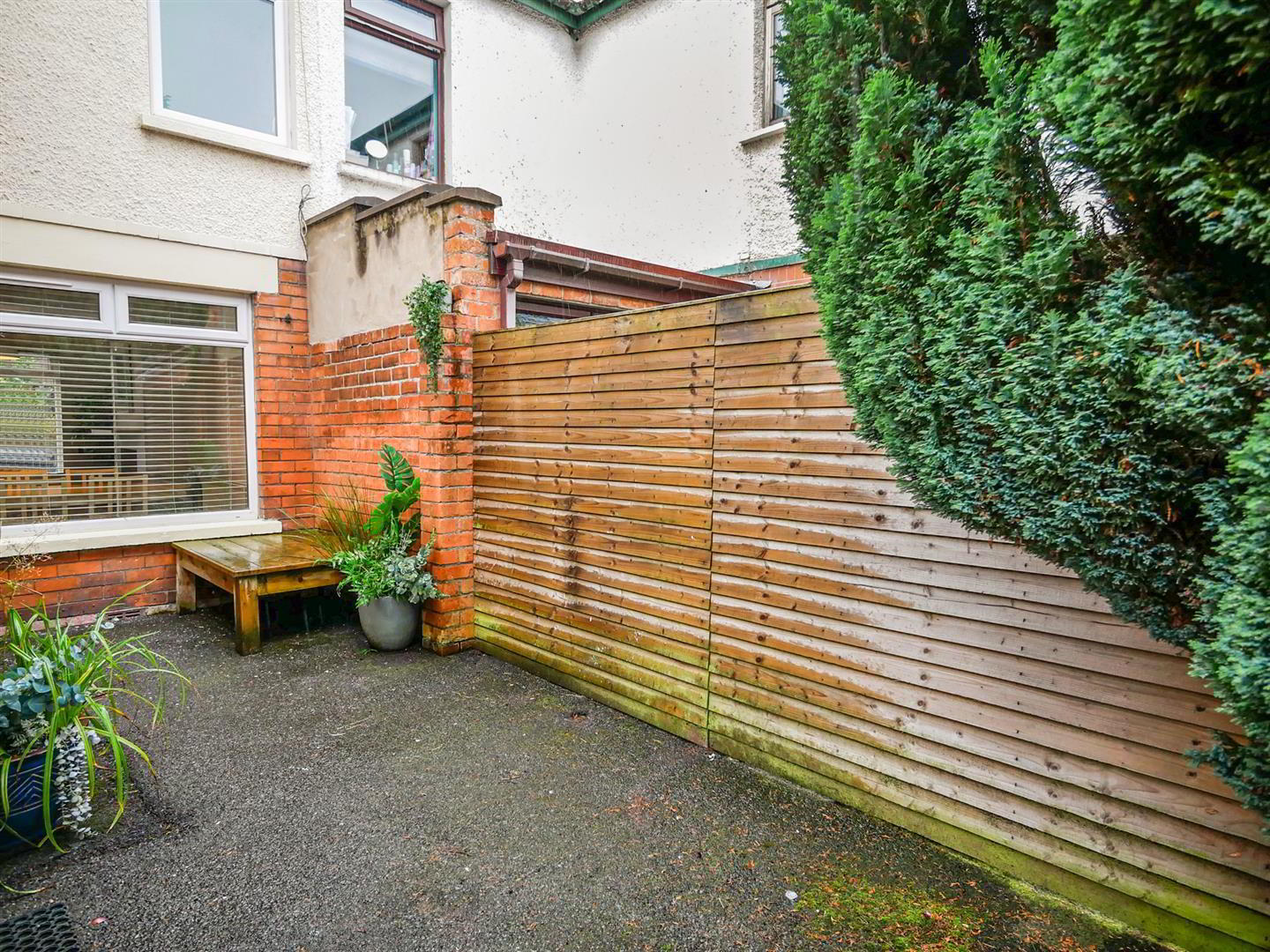 119 Rushfield Avenue 15 of 16