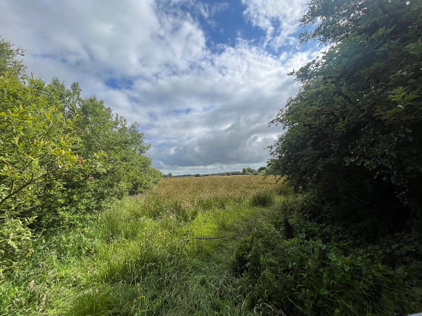 property description image