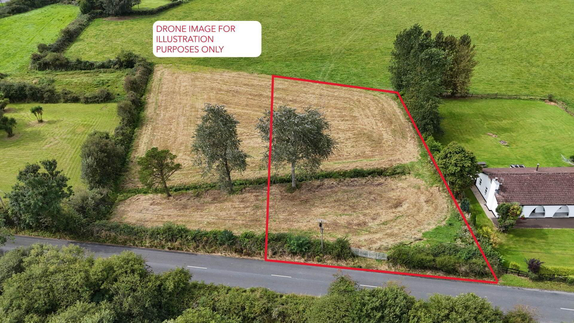 Murroe Wood 1 of 1
