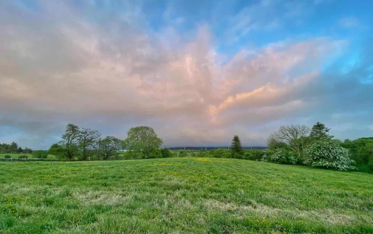 Oatlands 35 of 60