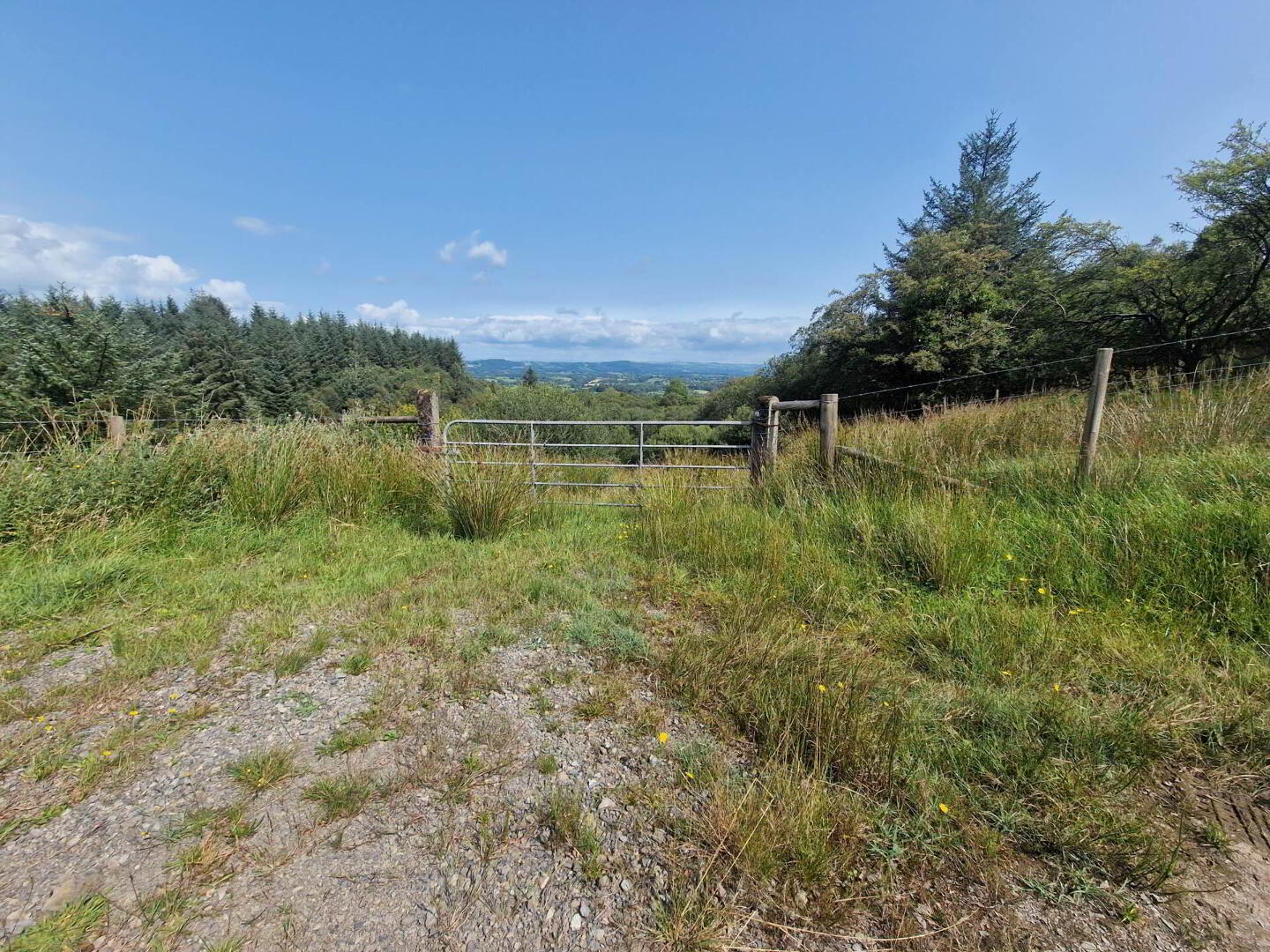property description image