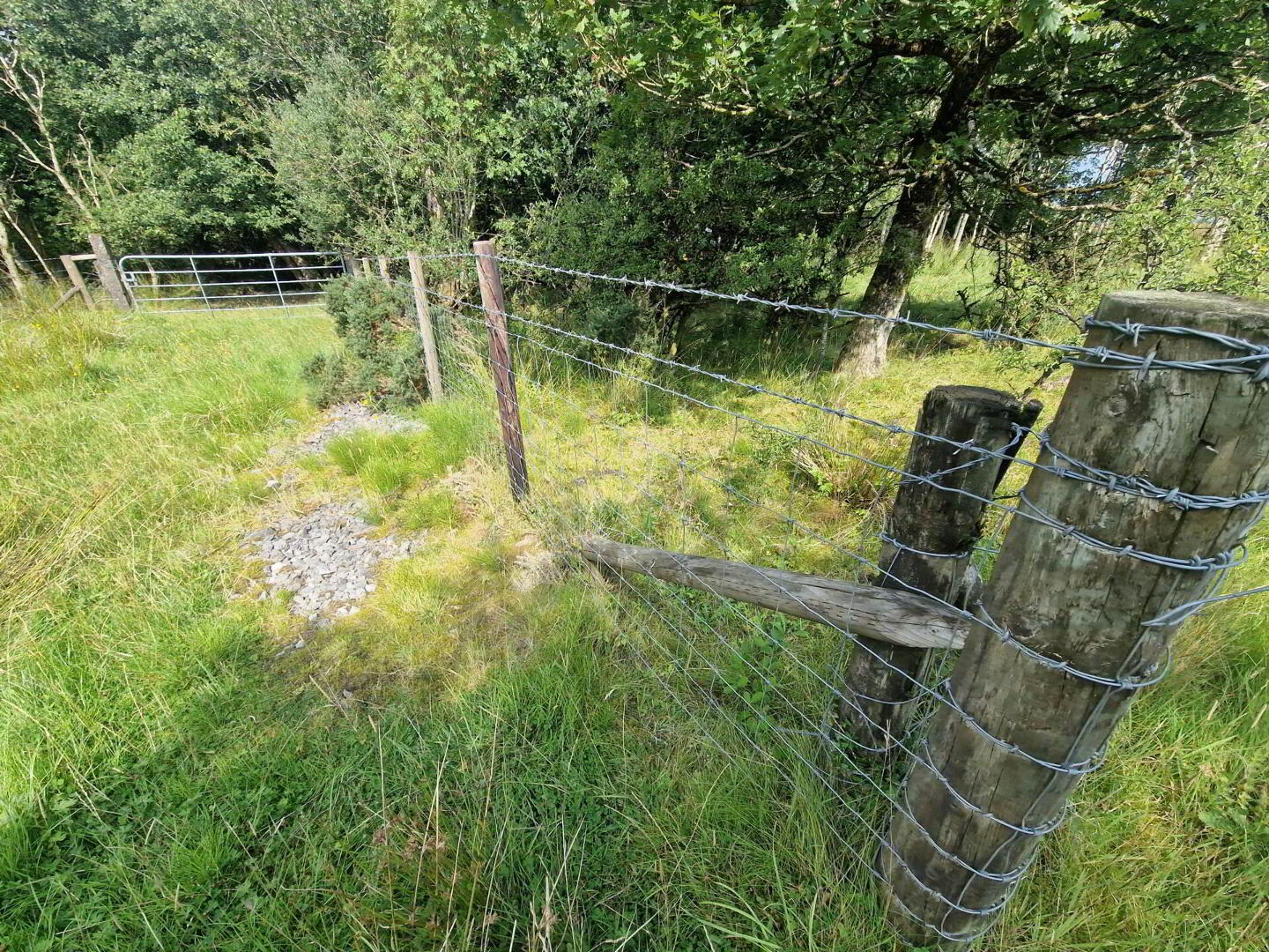 Circa 86.5 Acres At, Golan 3 of 20