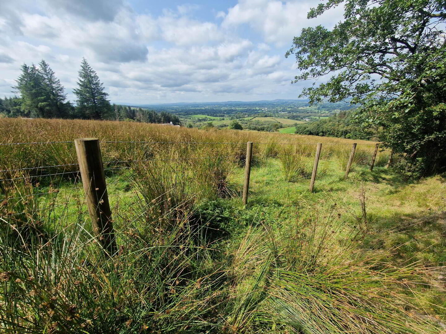 Circa 86.5 Acres At, Golan 7 of 20