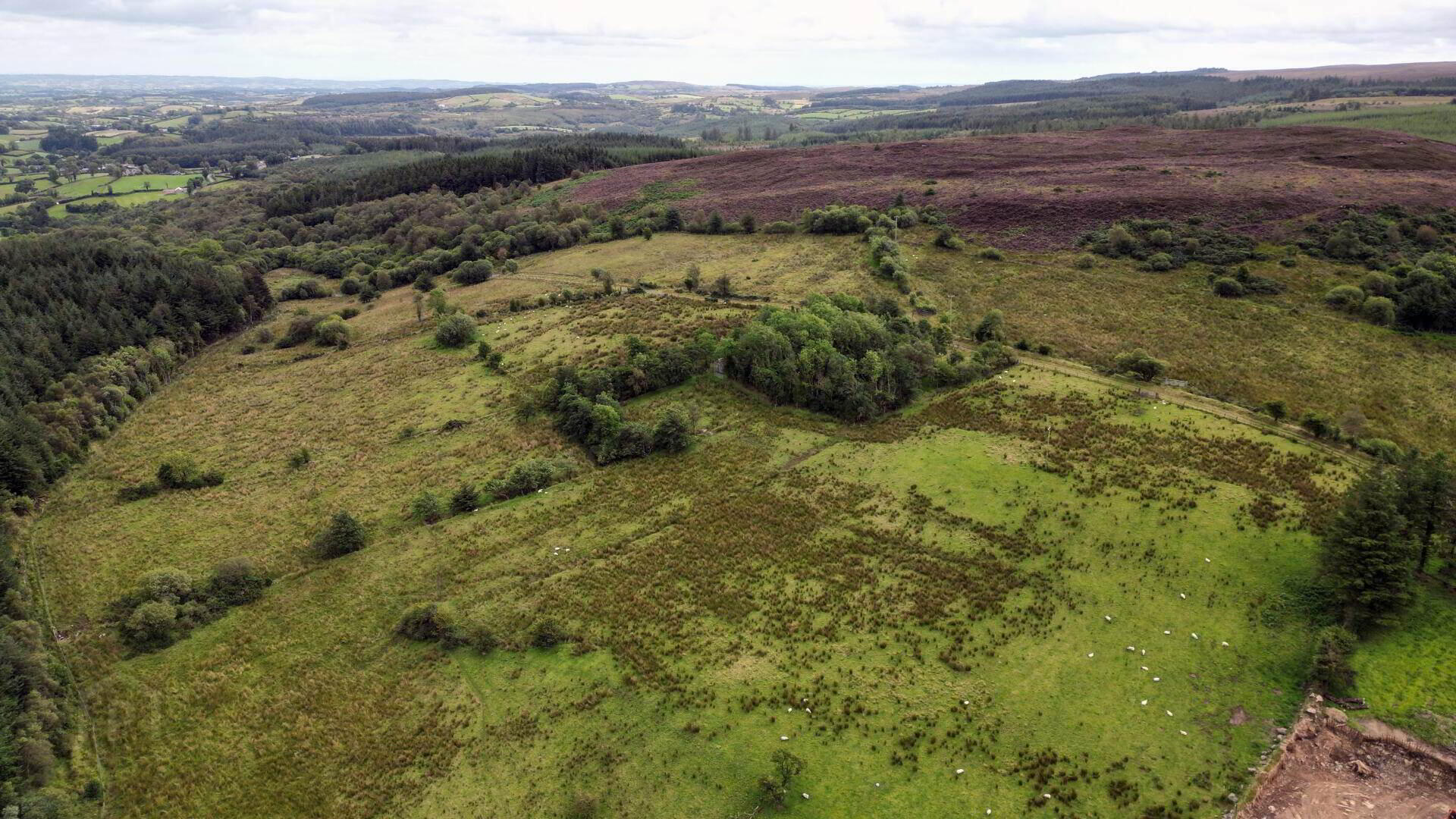 Circa 86.5 Acres At, Golan 10 of 20