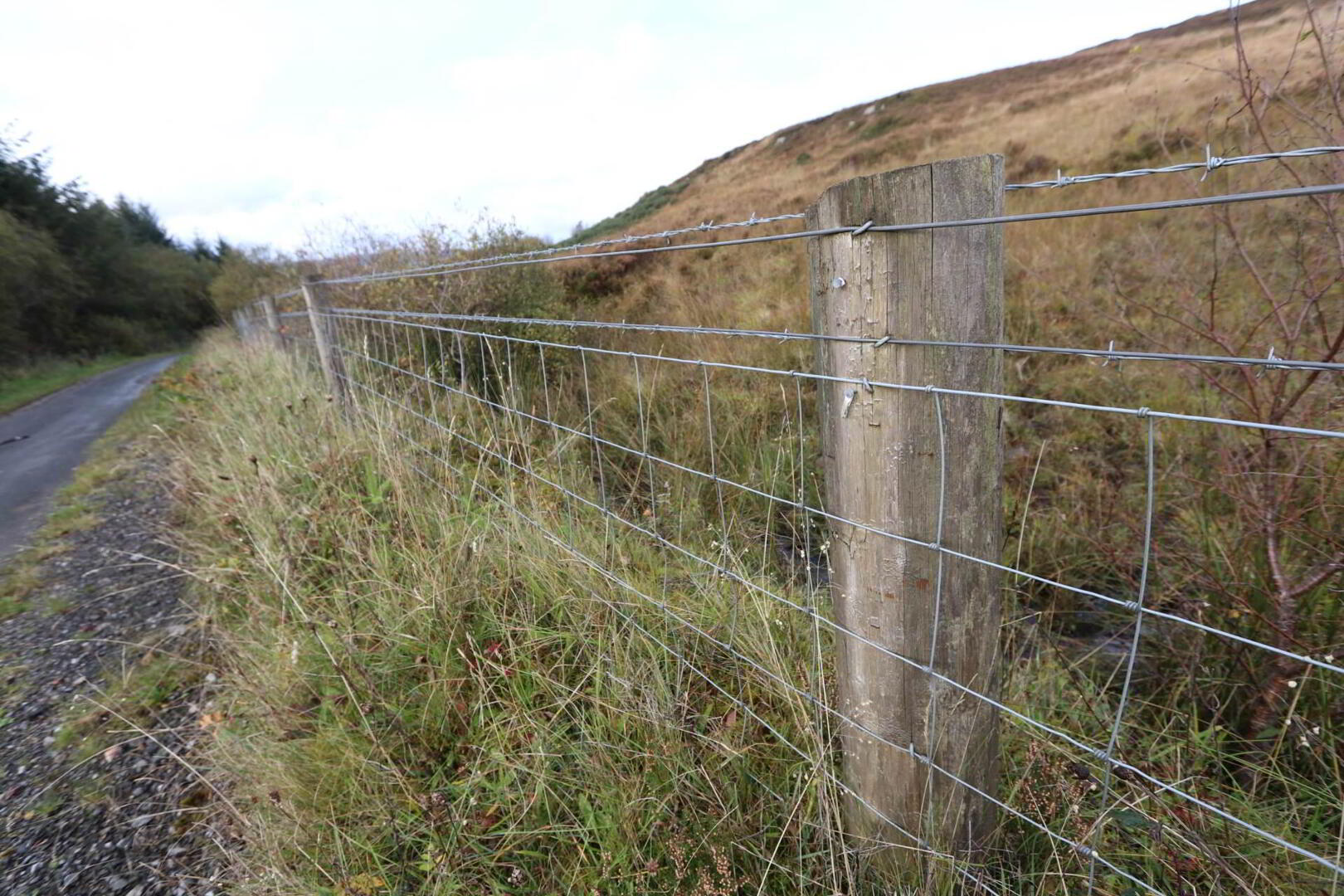 Circa 86.5 Acres At, Golan 18 of 20