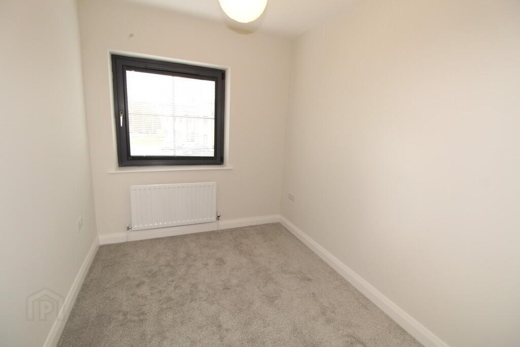 11 Avondale Court 17 of 21