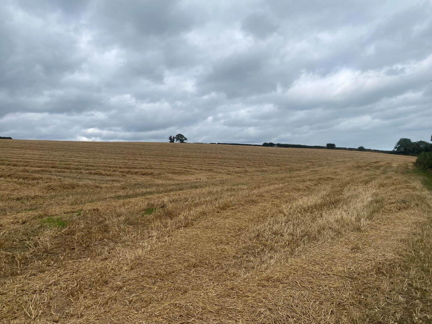 Approximately 14.3 Acres, Of Agricultural Land 6 of 8
