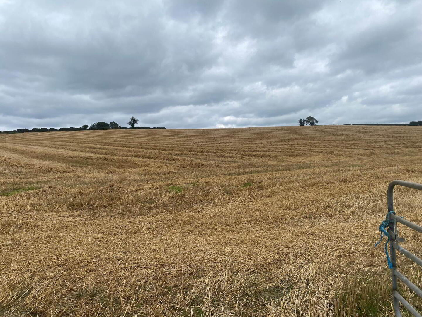 Approximately 14.3 Acres, Of Agricultural Land 5 of 8