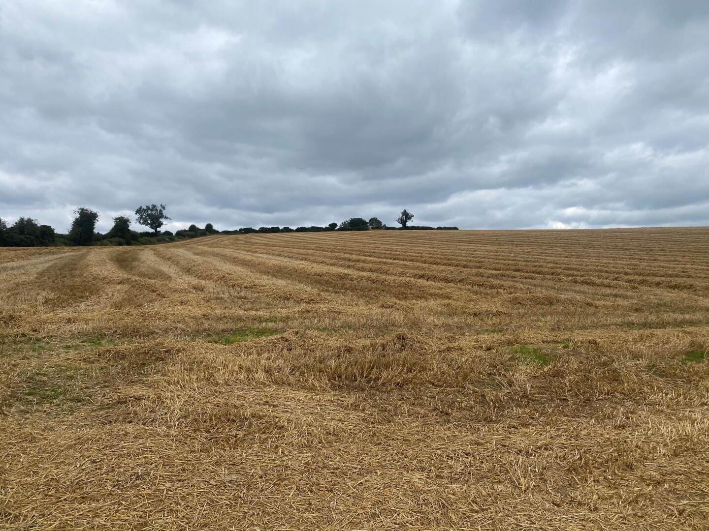 Approximately 14.3 Acres, Of Agricultural Land 7 of 8