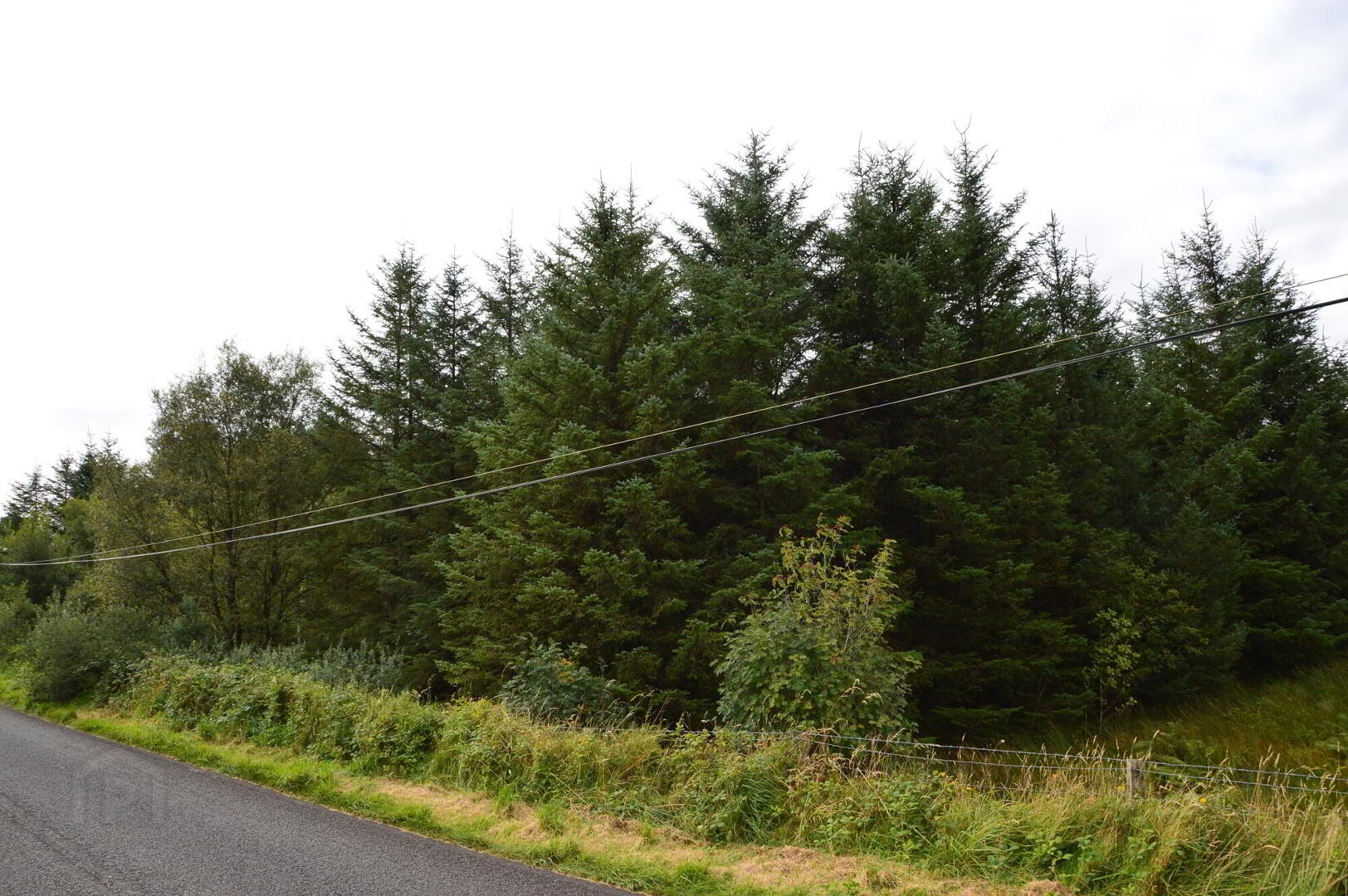Altnahinch Road 1 of 2