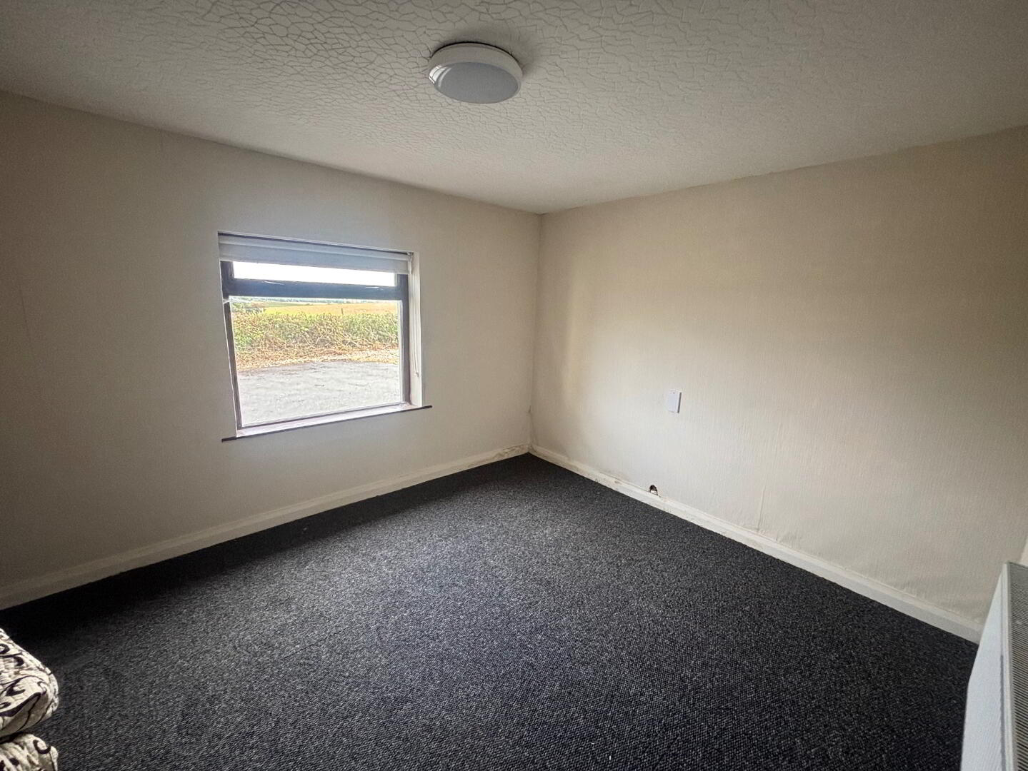 187 Trewmount Road 15 of 20