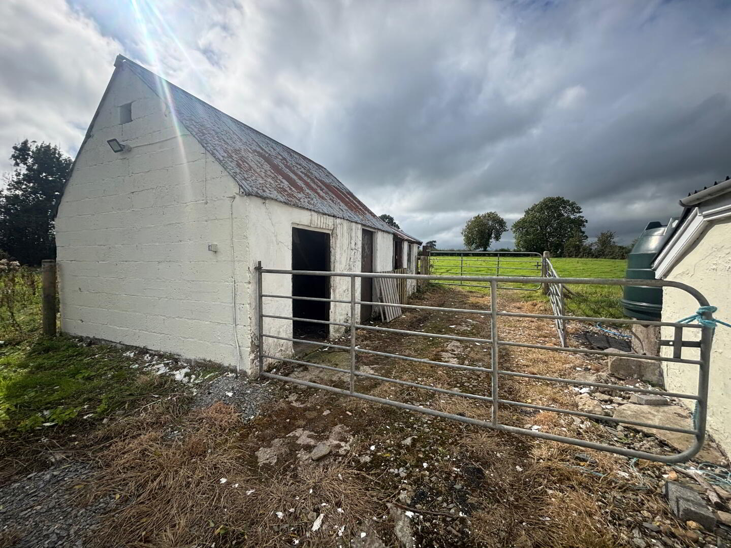 187 Trewmount Road 17 of 20