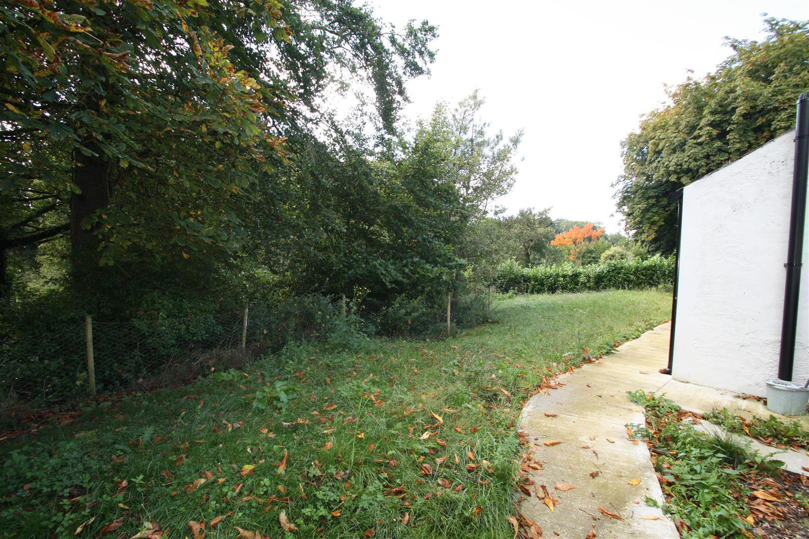 72 Grove Road 13 of 16