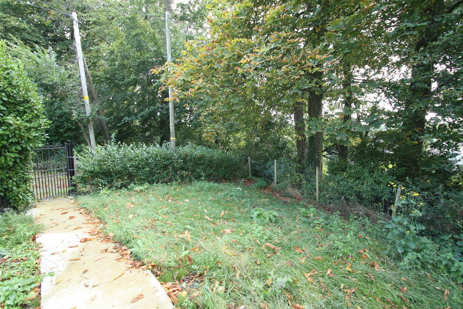 72 Grove Road 12 of 16