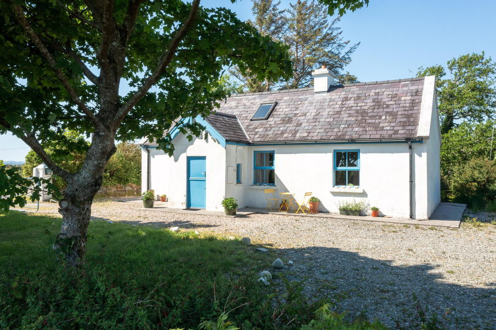 Lehanagh 16 of 22