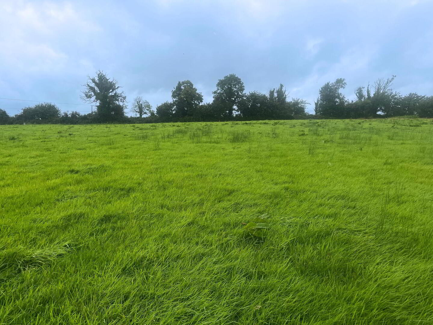 8.82 Acres Of Land At, Crossboyne 2 of 7