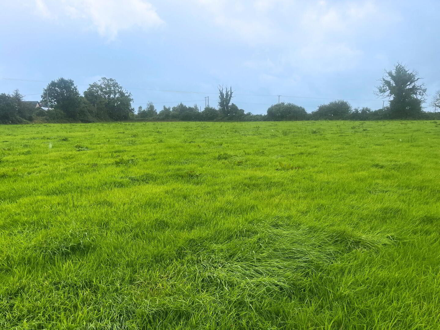 8.82 Acres Of Land At, Crossboyne 3 of 7