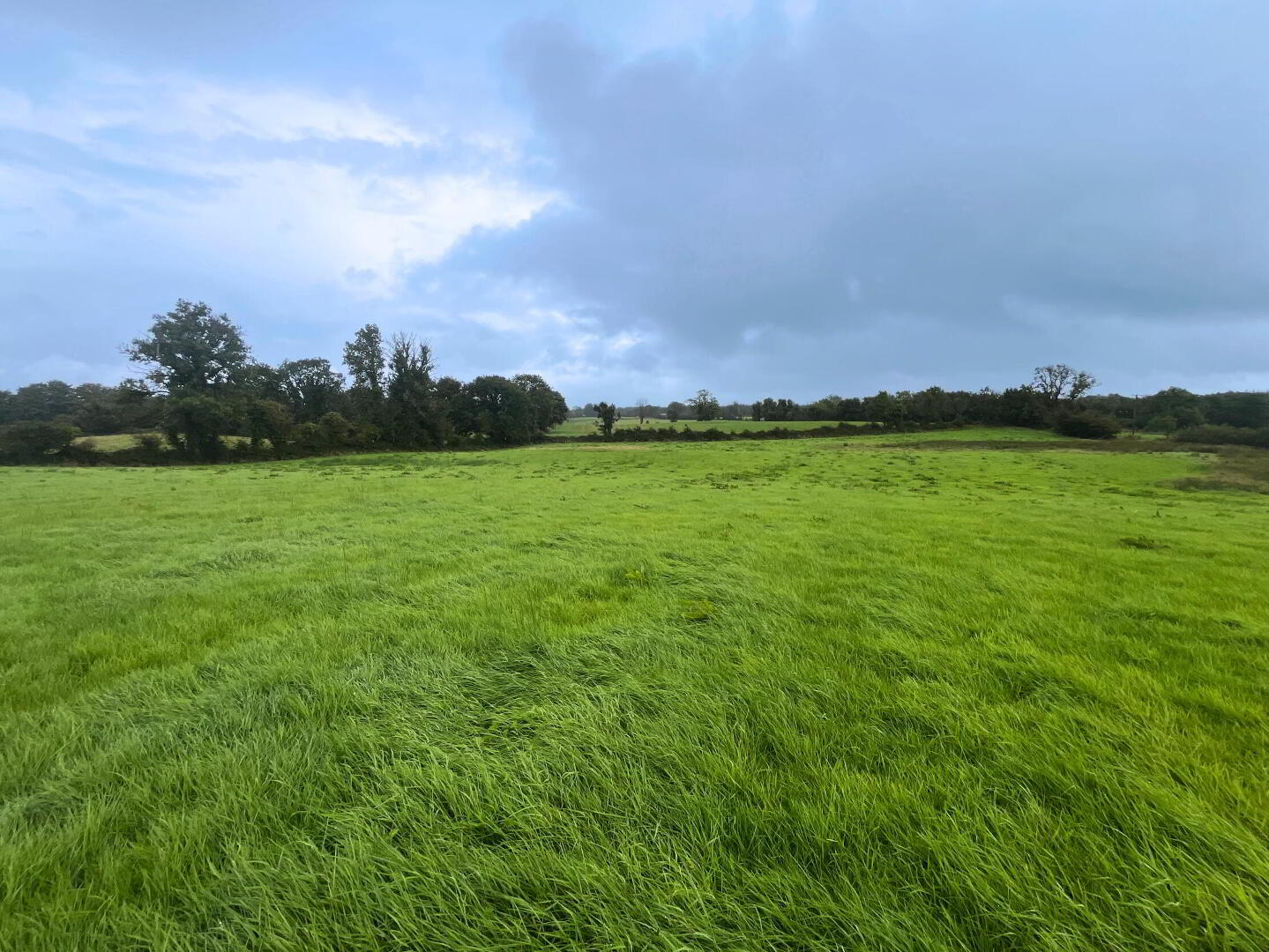 8.82 Acres Of Land At, Crossboyne 5 of 7
