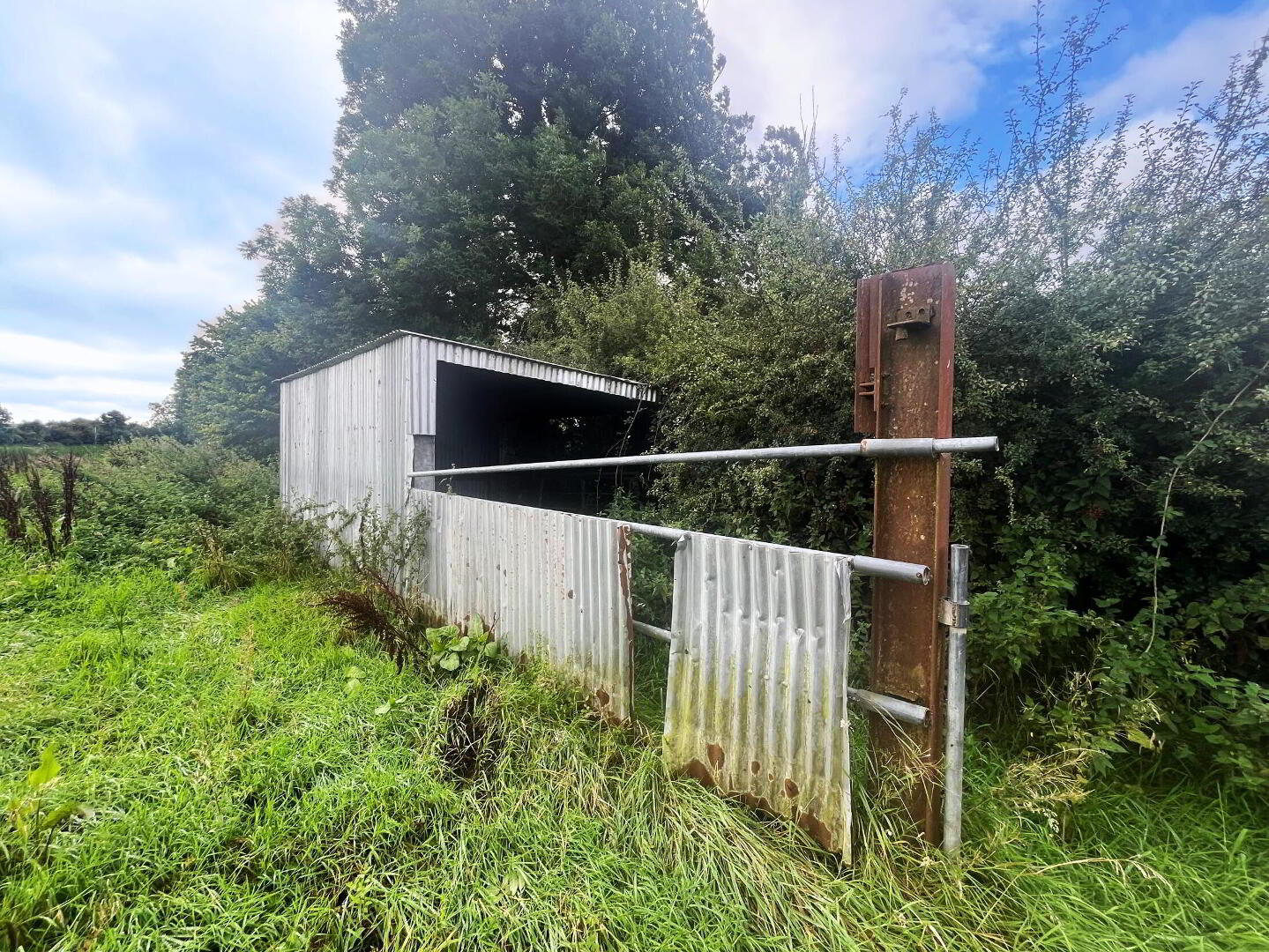 8.82 Acres Of Land At, Crossboyne 6 of 7