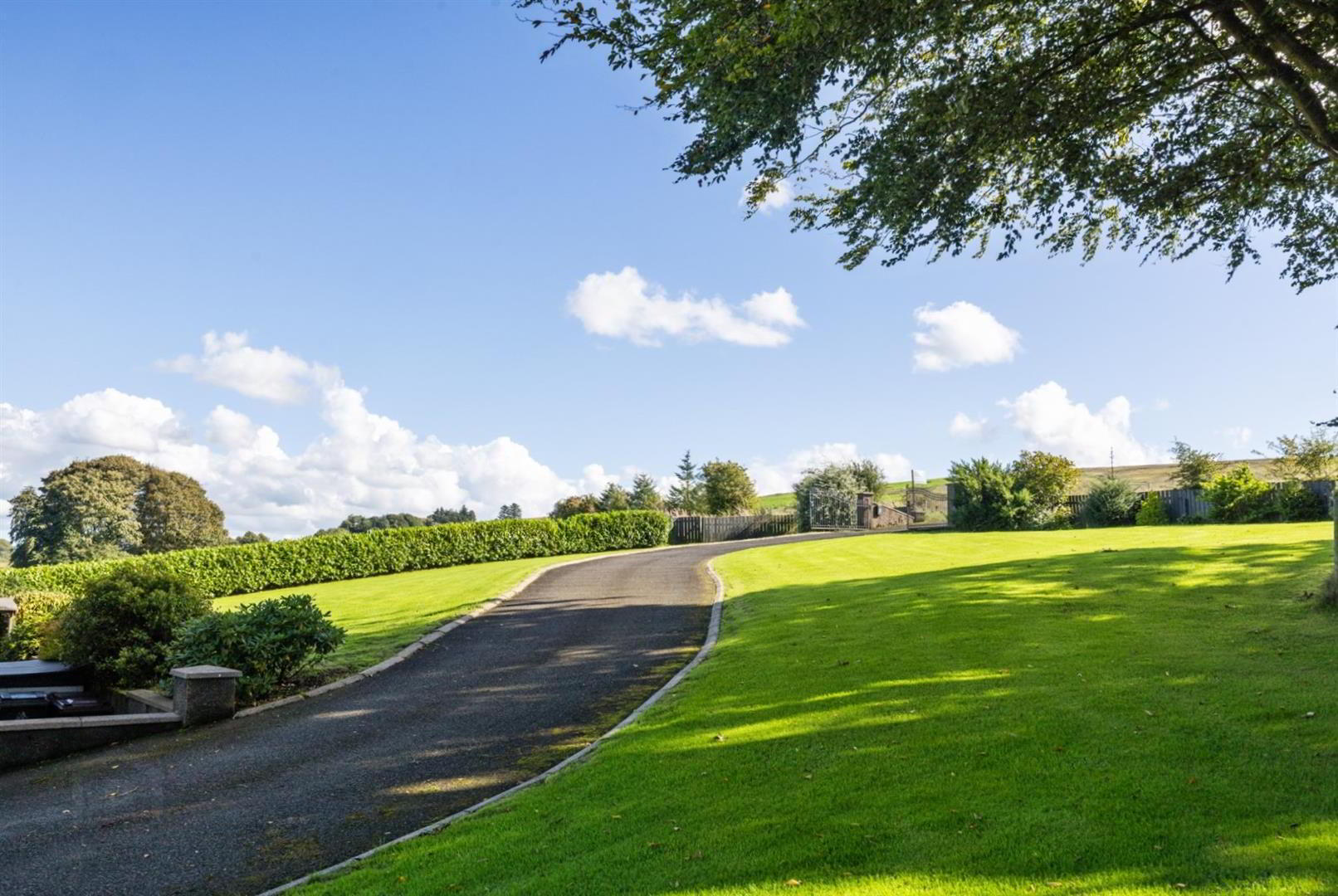 39a Carnlea Road North 38 of 41
