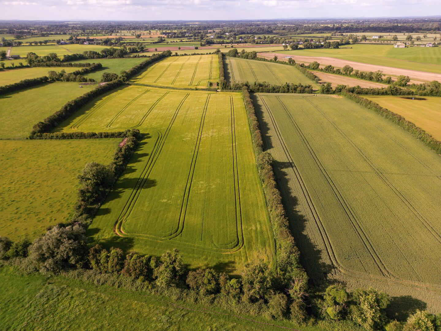 21 Acres Brannockstown 3 of 3