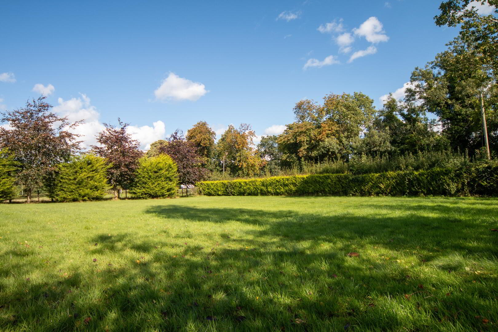 61 Newtownhamilton Road 21 of 24