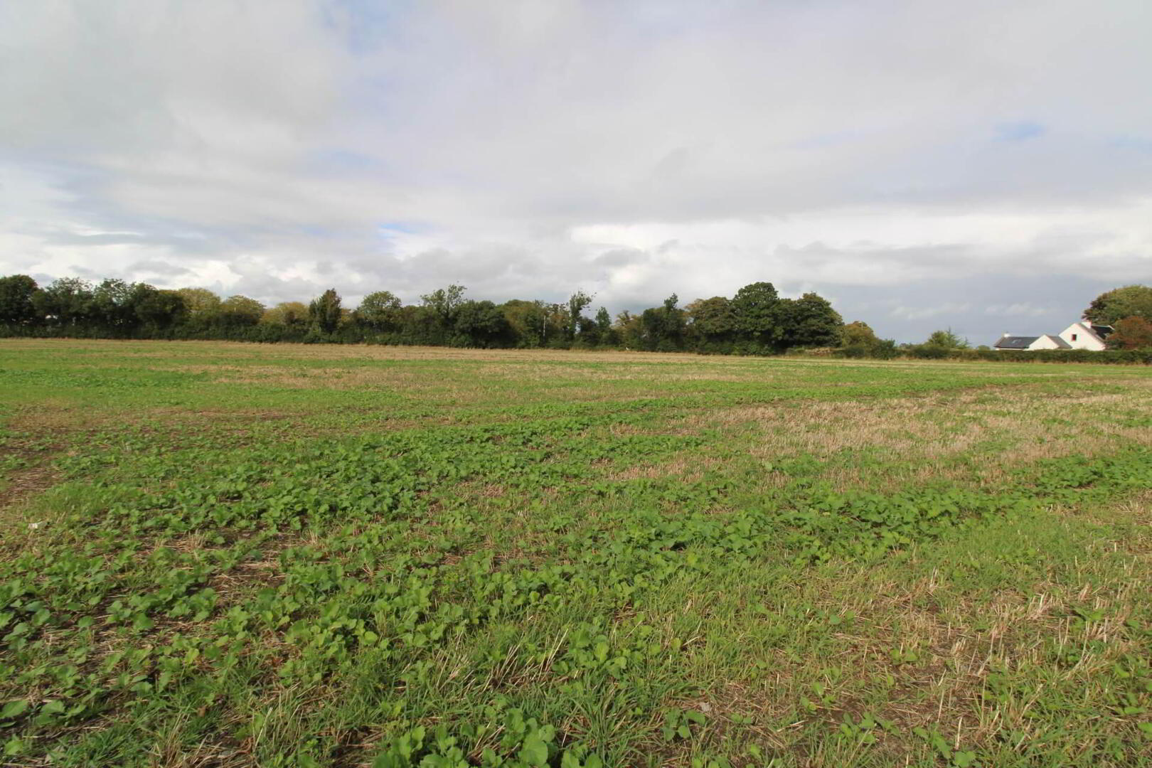 property description image