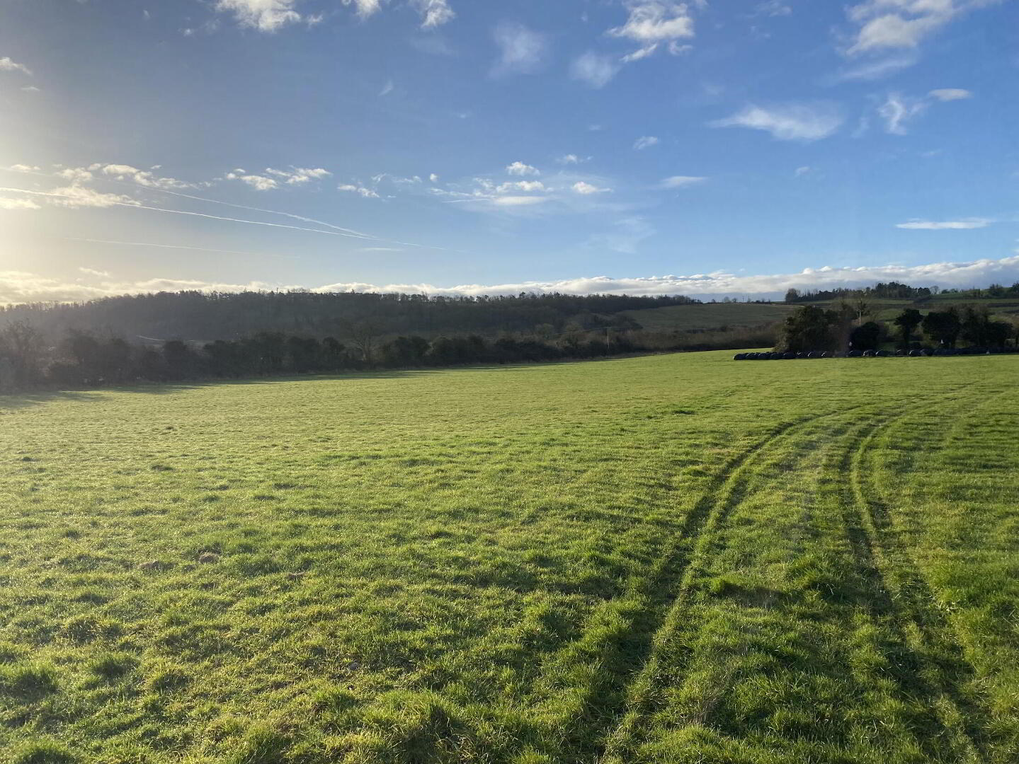Circa 13.5 Acres At, Garrinch 4 of 10