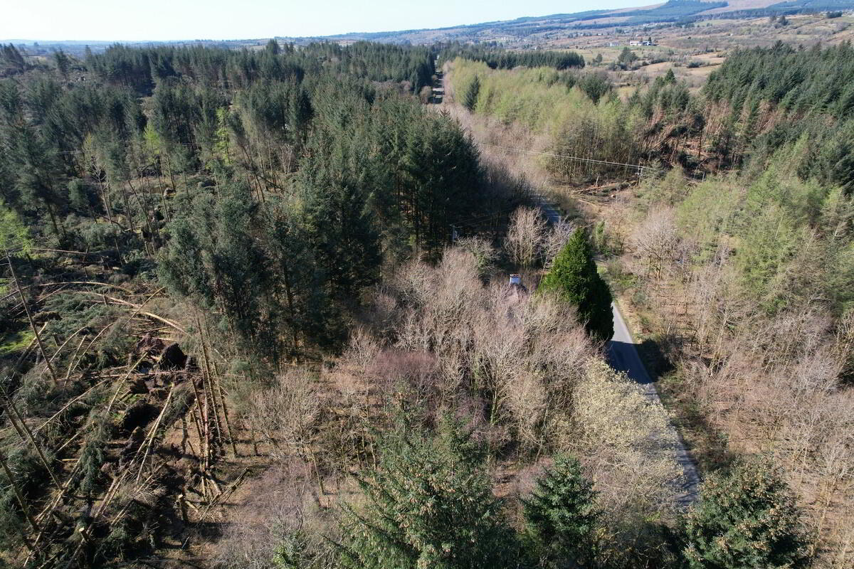 Corlough 6 of 28
