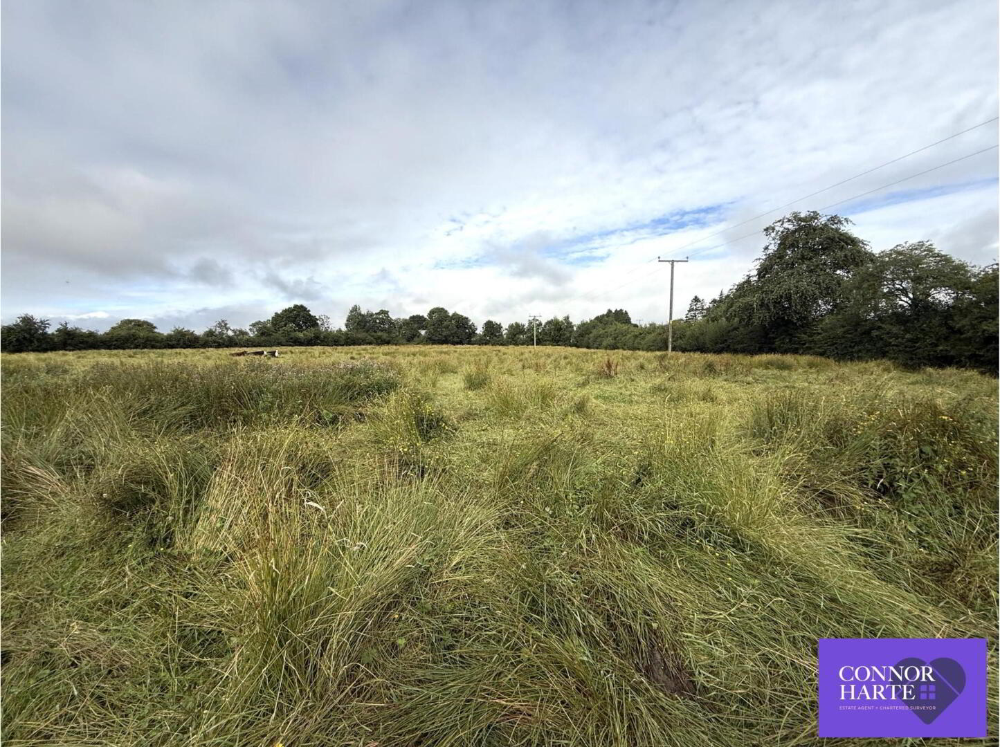 Circa 11.4 Acres At Drum Road 2 of 12