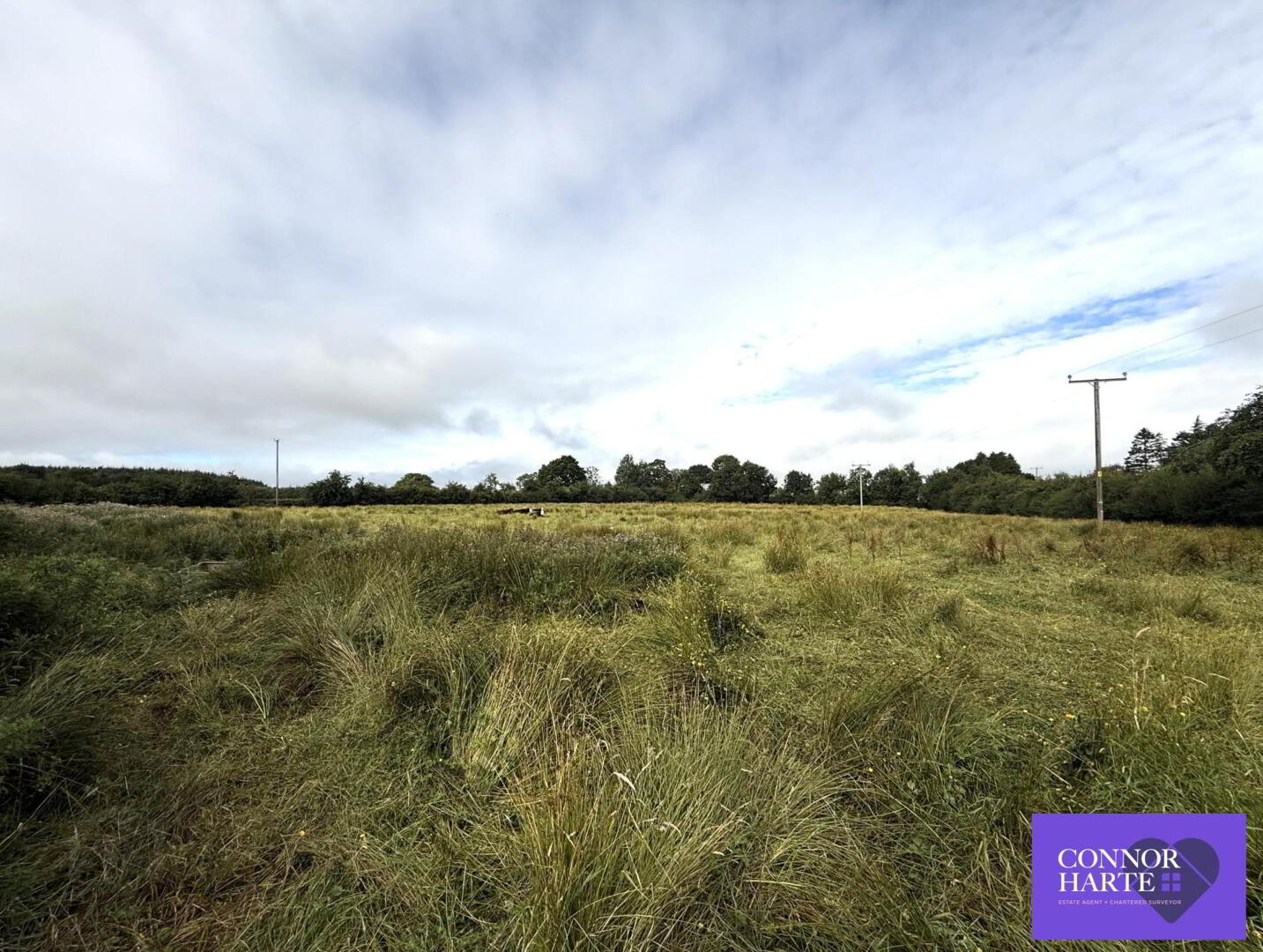 Circa 11.4 Acres At Drum Road 5 of 12